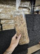 Sphaigne réhydratée de Madagascar en vrac - sachet de 3L