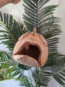 Maison "Poisson" suspendue pour gecko à crête ou autre gecko