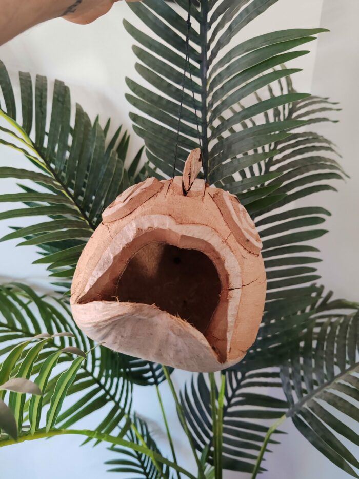 Maison "Poisson" suspendue pour gecko à crête ou autre gecko – Image 2