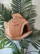 Maison "Poisson" suspendue pour gecko à crête ou autre gecko