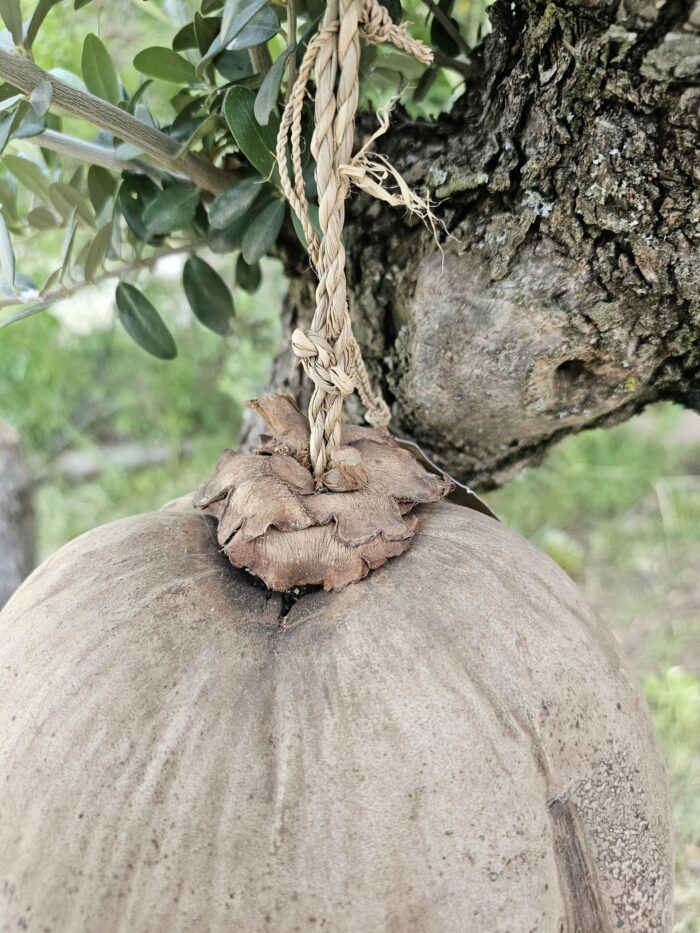 Maison "Big coco" suspendue pour gecko à crête ou autre – Image 2