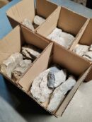 Box de 3 "Seiryu Stone" - Mix de tailles