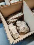 Box de 3 "Seiryu Stone" - Mix de tailles