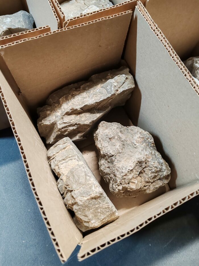 Box de 3 "Seiryu Stone" - Mix de tailles – Image 2