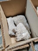 Box de 3 "Seiryu Stone" - Mix de tailles