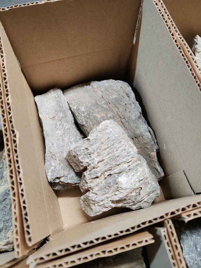 Box de 3 "Seiryu Stone" - Mix de tailles – Image 3