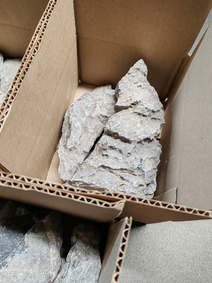 Box de 3 "Seiryu Stone" - Mix de tailles – Image 4