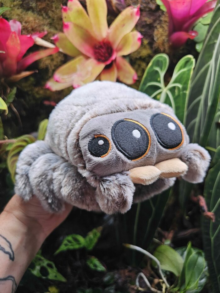 Peluche "Phidippus" toute mignonne ! – Image 4