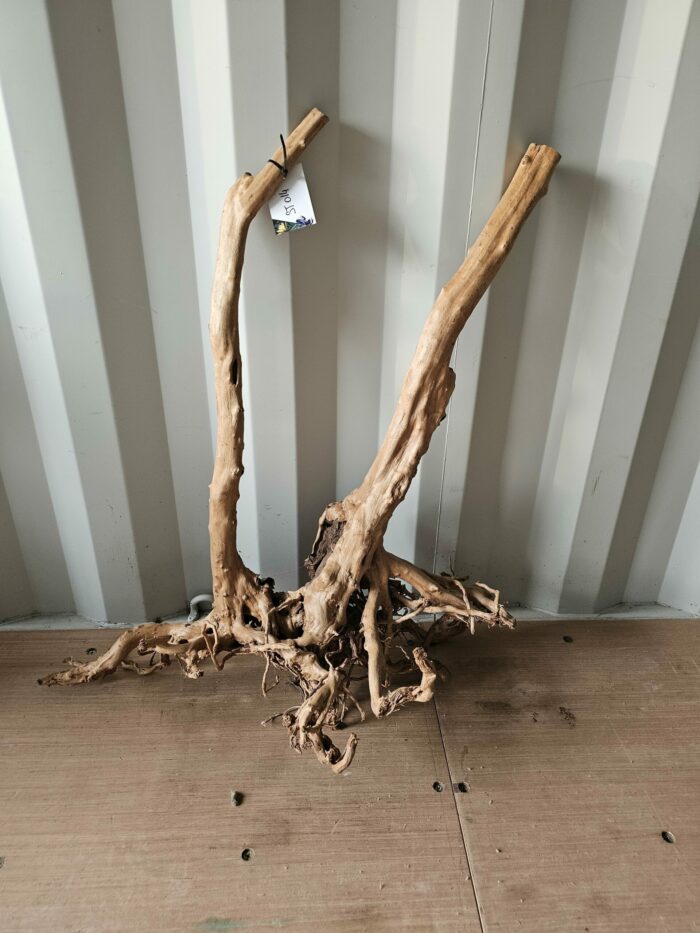 Racine "Stump Wood" - ST014 - 76x38x83cm ⚠ PAS D'ENVOI 📦 – Image 3
