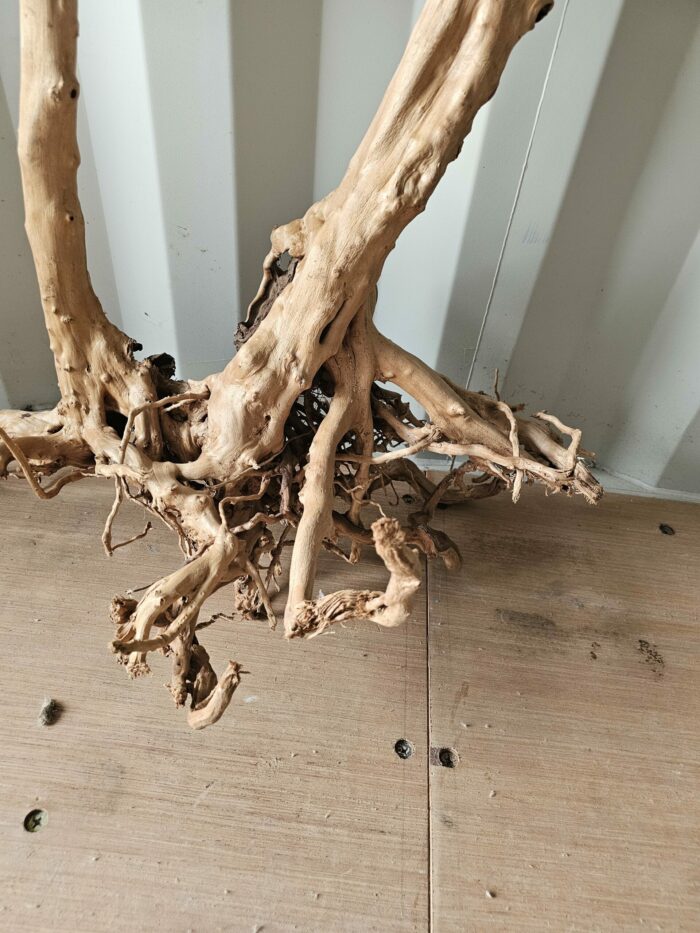 Racine "Stump Wood" - ST014 - 76x38x83cm ⚠ PAS D'ENVOI 📦 – Image 2
