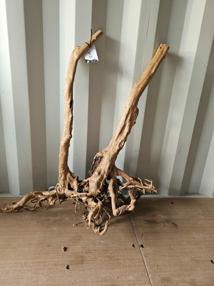 Racine "Stump Wood" - ST014 - 76x38x83cm ⚠ PAS D'ENVOI 📦