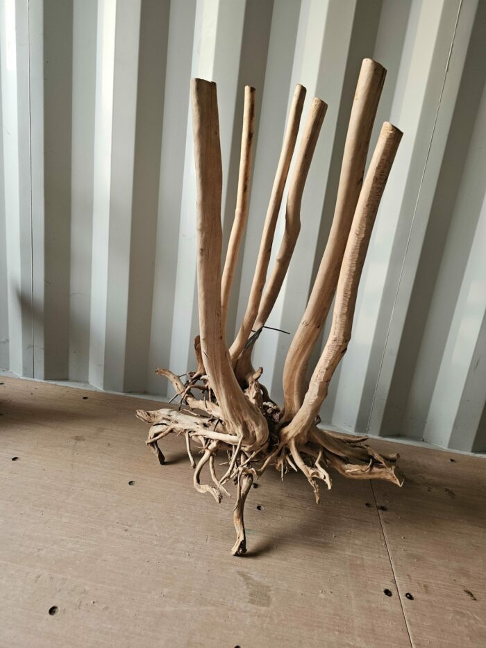 Racine "Stump Wood" - ST010 - 66x57x92cm ⚠ PAS D'ENVOI 📦 – Image 4