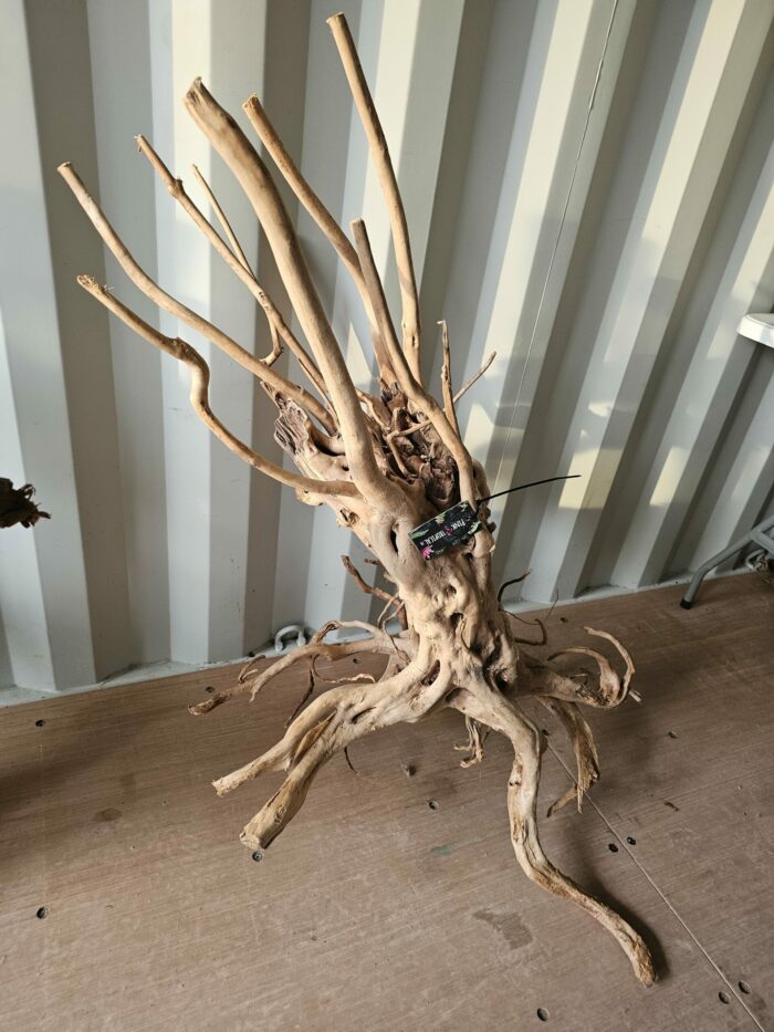 Racine "Stump Wood" - ST013 - 110x57x90cm ⚠ PAS D'ENVOI 📦