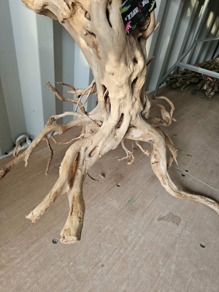 Racine "Stump Wood" - ST013 - 110x57x90cm ⚠ PAS D'ENVOI 📦 – Image 3