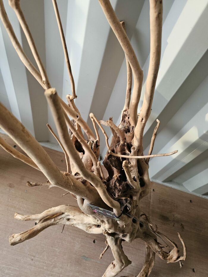 Racine "Stump Wood" - ST013 - 110x57x90cm ⚠ PAS D'ENVOI 📦 – Image 2
