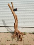 Racine "Stump Wood" - ST005 - 38x43x89cm ⚠ PAS D'ENVOI 📦