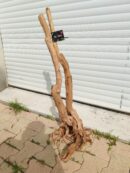 Racine "Stump Wood" - ST005 - 38x43x89cm ⚠ PAS D'ENVOI 📦