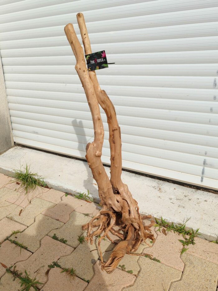 Racine "Stump Wood" - ST005 - 38x43x89cm ⚠ PAS D'ENVOI 📦 – Image 2