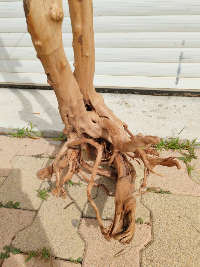 Racine "Stump Wood" - ST005 - 38x43x89cm ⚠ PAS D'ENVOI 📦 – Image 3