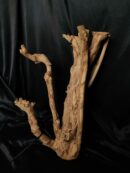 Racine de Talawa TW032 - 43x27x19cm