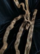 Liane naturelle - Environ 1m ⚠ ENVOI SUR DEMANDE 📦