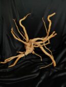 Racine asia/spiderwood A336 - 59x50x26cm