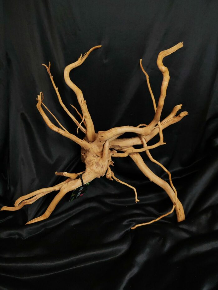 Racine asia/spiderwood A336 - 59x50x26cm