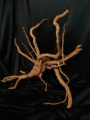 Racine asia/spiderwood A336 - 59x50x26cm