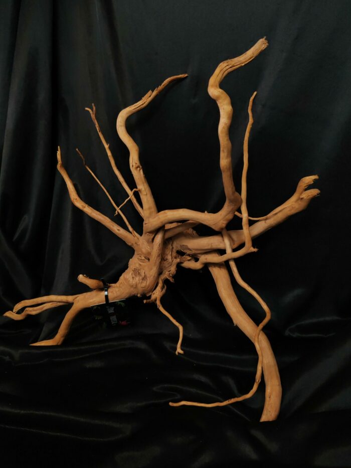 Racine asia/spiderwood A336 - 59x50x26cm – Image 2