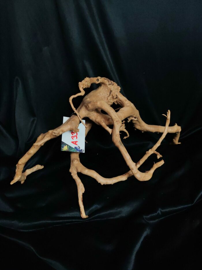 Racine asia/spiderwood A332 - 47x30x36cm – Image 2