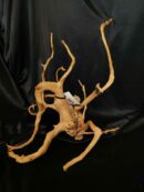 Racine asia/spiderwood A344 - 57x38x35cm