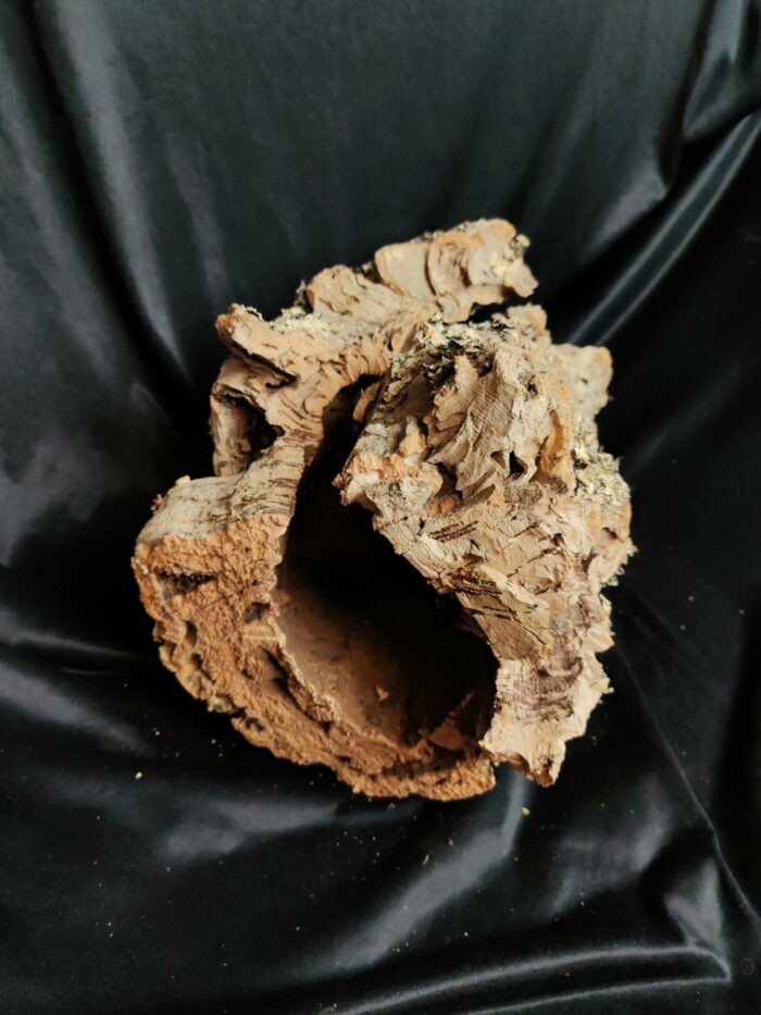 Tronc de liège LH092 - 44x26x25cm – Image 3