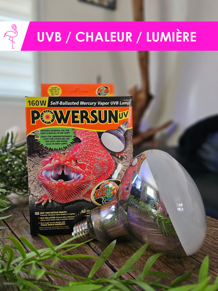 Ampoule 3 en 1 (UVB, chaleur et éclairage) - "Powersun" de chez Zoo Med - 160W