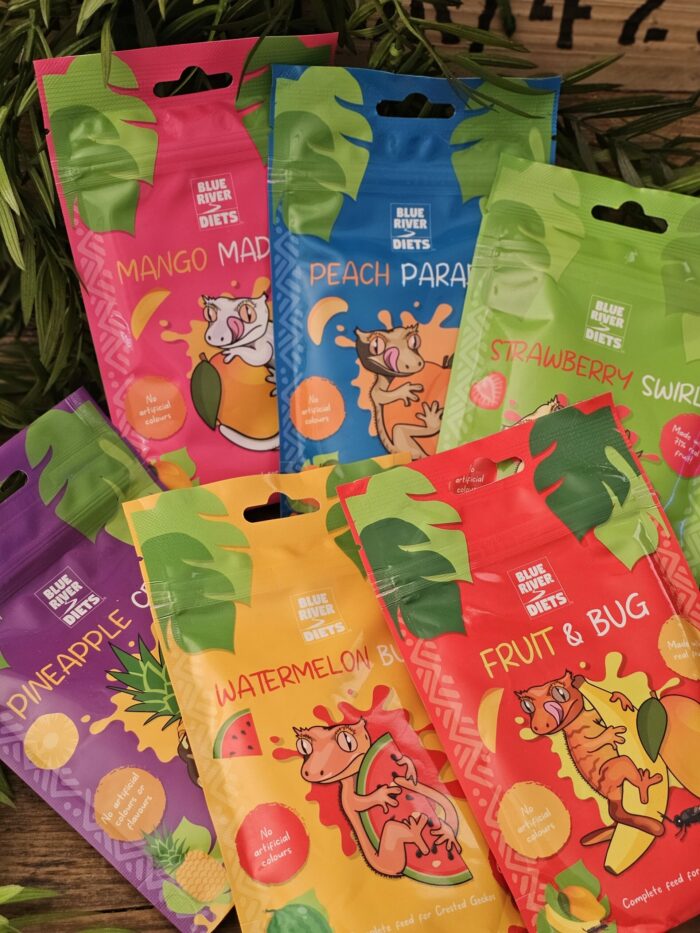 Blue River Diets "Pack découverte" - Nourriture complète pour geckos  - 6x60g