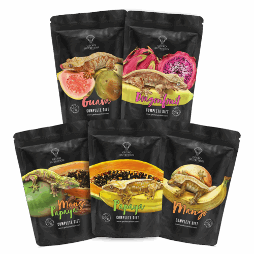 ⭐ Gecko Nutrition Pack "Saveurs Tropicales" -  5x50g