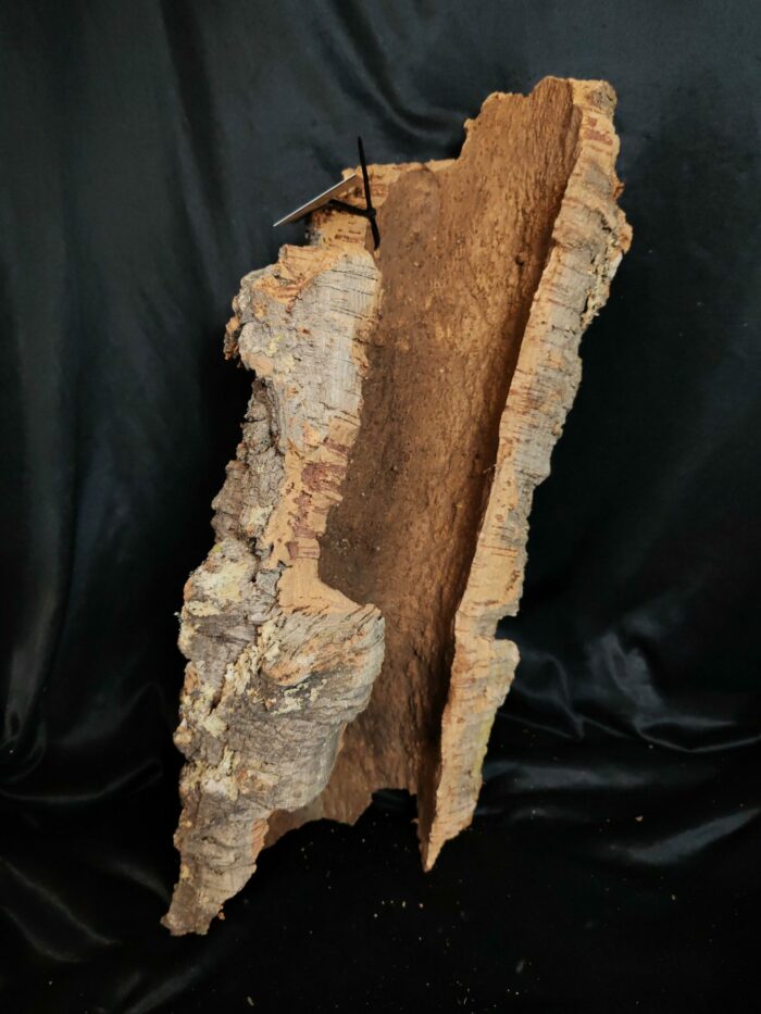Tronc de liège LH102 - 54x27x18cm – Image 2