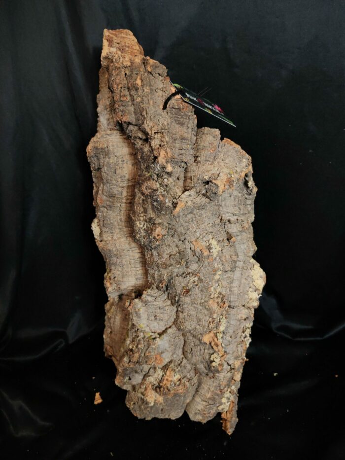 Tronc de liège LH102 - 54x27x18cm – Image 3