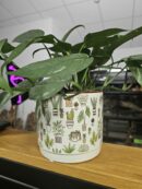 Cache pot "plant lover" big