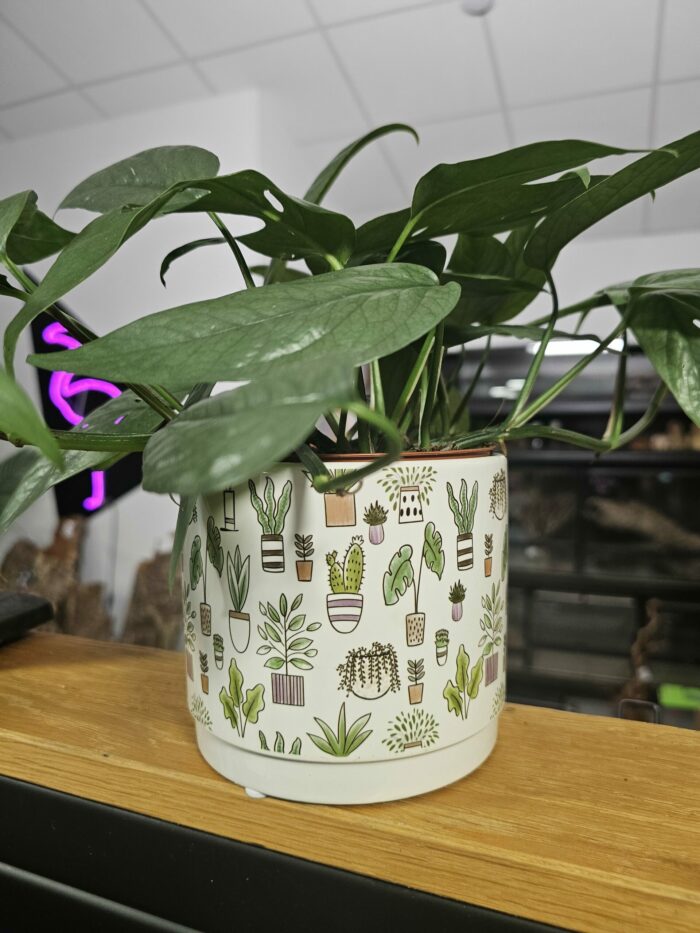 Cache pot "plant lover" big – Image 4