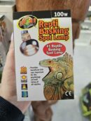 Repti Basking spot lamp 100 w - ZOOMED