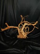 Racine asia/spiderwood A533 - 65x37x14cm