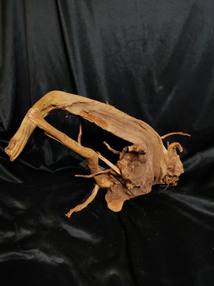 Racine asia/spiderwood A532 - 43x26x18cm – Image 2