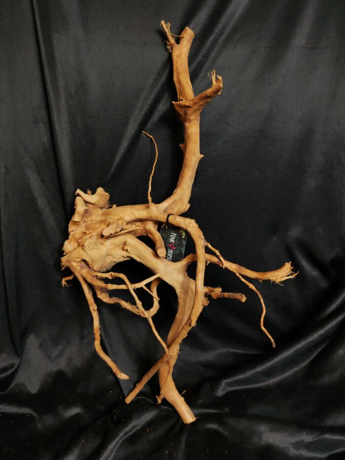 Racine asia/spiderwood A533 - 65x37x14cm