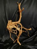 Racine asia/spiderwood A533 - 65x37x14cm