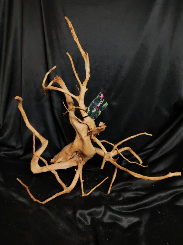Racine asia/spiderwood A534 - 48x27x52cm
