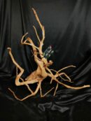 Racine asia/spiderwood A534 - 48x27x52cm