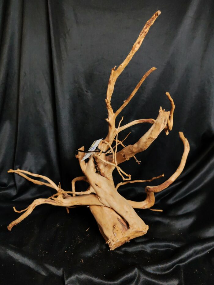 Racine asia/spiderwood A534 - 48x27x52cm – Image 2