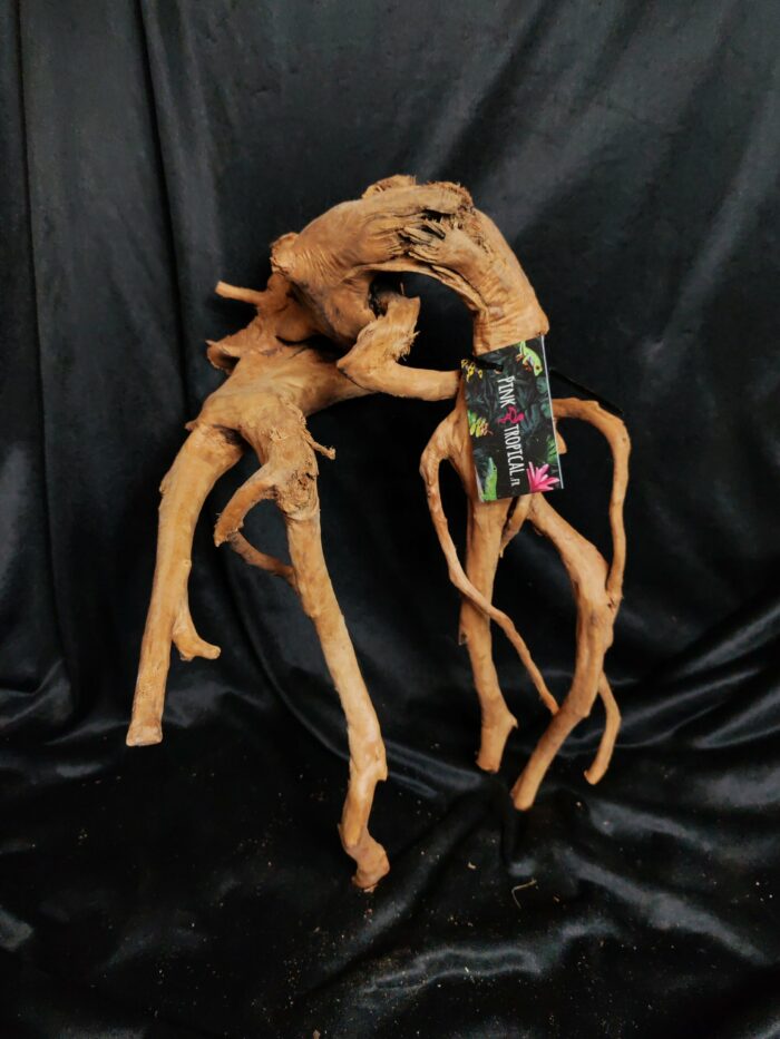Racine asia/spiderwood A535 - 30x34x34cm