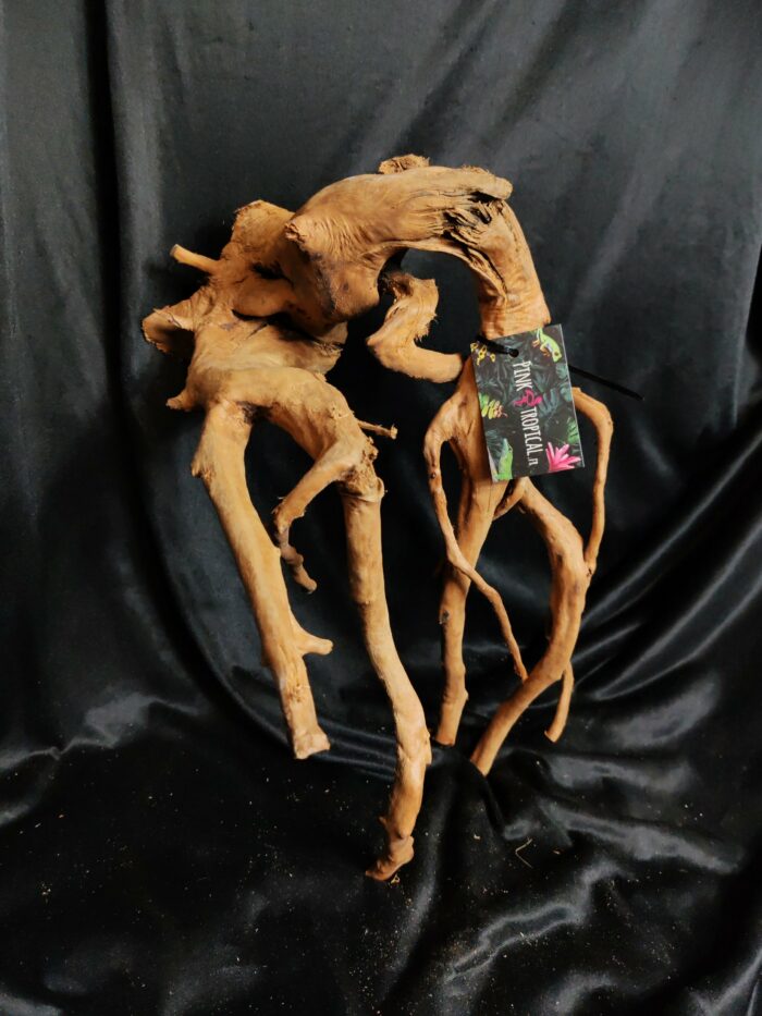 Racine asia/spiderwood A535 - 30x34x34cm – Image 2