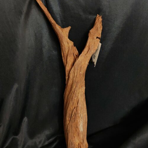 Racine de mangrove MG111 - 58x14x12cm